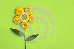 Greeting card with a yellow flower on a green background