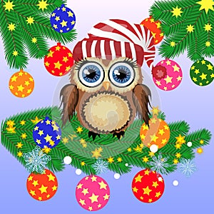 Greeting Christmas card Cute Cartoon Owl with Christmas tree on a blue background.