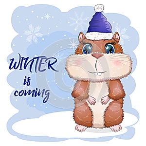 Greeting Christmas card with funny hamster character. Winter is coming, Christmas