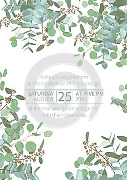 Greeting festive flyer, holiday card, vector. Elegant floral, greenery, asymmetric collection. Bouquet of eucalyptus spiral,
