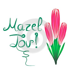 Greeting inscription Mazel Tov translated from Hebrew I wish you happiness. A bouquet of tulips. Vector illustration on