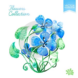 Greetings card template with blue summer flowers. Vector.