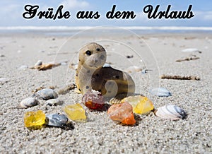 Greetings from Holidays german `Gruesse aus dem Urlaub`