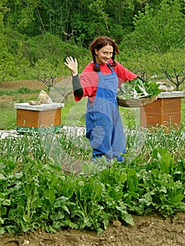 Greetings from the rural woman with baskets chard