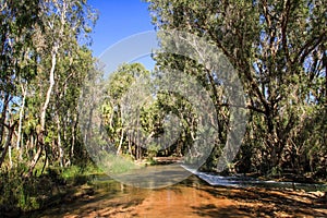 Gregory Downs Rivercrossing, Savannah Way, Queensland, Australia