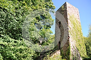 Greifenstein Castle Ruin (ChÃ¢teau du Greifenstein)