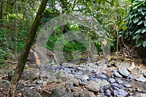 Grenada, West Indies - Annandale river