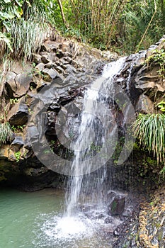 Grenada, West Indies - Annandale waterfall