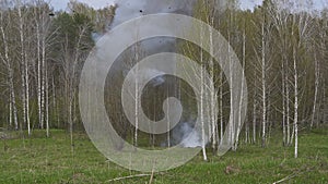 Grenade explosion in the forest.