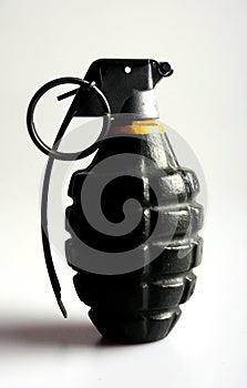 Grenade in profile