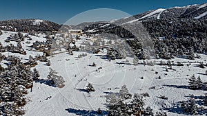 Greolieres ski slope and trees covered in snow, drone aerial view in winter