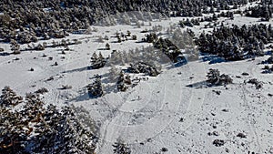 Greolieres ski slope and trees covered in snow, drone aerial view in winter