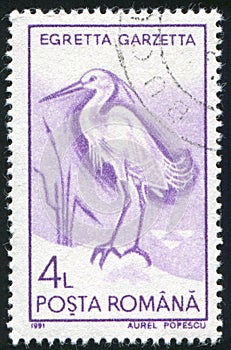 Gretta garzetta