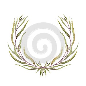 Grevillea natural. Greenery collection. Hand-drawn watercolor wreath. Design template. Artistic illustration.