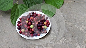 Grewia asiatica fruits commonly known as Phalsa or Falsa fruit full with vitamins and nutritions