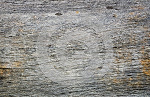 Grey aging wood background