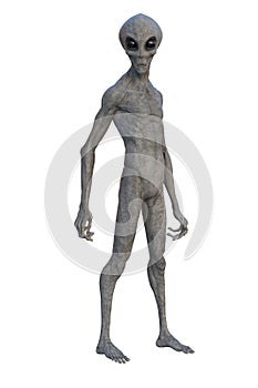 Grey Alien standing upright. 3D render isolated on white