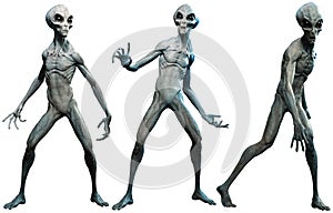 Grey aliens 3D illustration