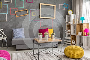 Grey apartment with wall frames