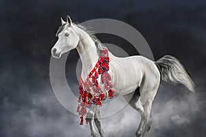 Grey arabian horse portrait in national decorations