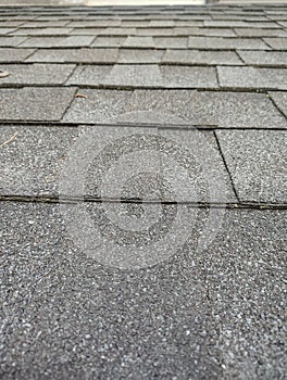 Grey Asphalt Shingles