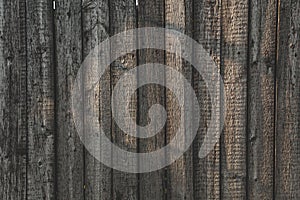 Grey Barn Wooden Wall Planking Wide Texture. Old Solid Wood Slats Rustic Shabby Gray Background.