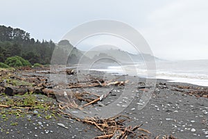 Grey beach with logs on the eastern shores of New Zealand near Kekerengu