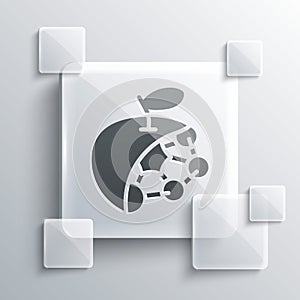 Grey Biological structure icon isolated on grey background. Genetically modified organism and food. Square glass panels