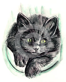 Grey Black Kitten Watercolor Painting