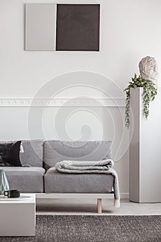 Grey blanket and black pillow on comfortable sofa in stylish living room interior