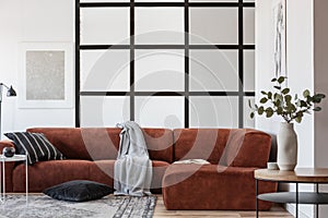 Grey blanket and black pillows on elegant velvet corner sofa