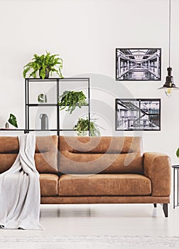 Grey blanket on brown leather sofa in bright modern apartment with industrial posters on the wall and plants