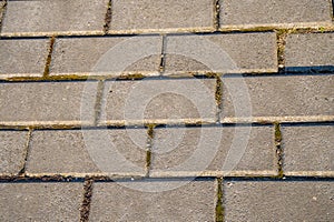 Grey brick pavement background close up. Gray stone tile block background