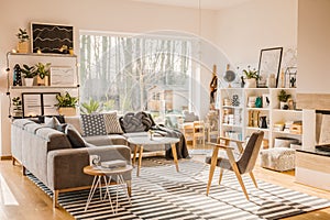 Grey bright living room interior