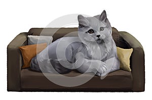A grey British cat is lying on the sofa. Watercolor