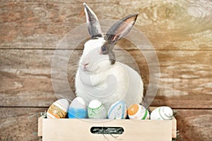 Grey bunny rabbit looking frontward to viewer, Little bunny sitting on wooden box with her toys.