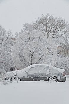 Grey car covered with snow on snowy trees and winter background. Blizzard, snowfall, snowstorm. Weather conditions concept