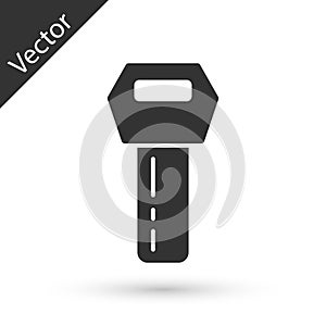 Grey Car key with remote icon isolated on white background. Car key and alarm system. Vector