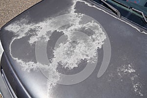 Grey car used peeling gray paint on grunge hood of old automobile