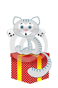 Grey cat on a box