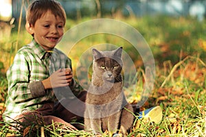 Grey Cat and boy sitting on the grass. Kid playing with cat.