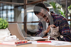 Cute grey cat distracting employees from work photo