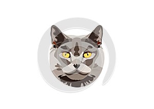 Grey Cat Head Vector Tracing Art Design Portrait