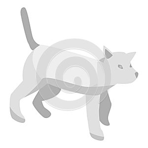 Grey cat icon, isometric style