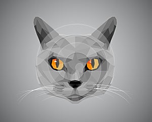 Grey cat with orange eyes - polygonal style.