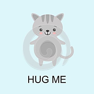 Grey Cat ready for a hugging. Funny animal. Cute cartoon pet on blue background. Vector illustration with lettering phrase Hug Me