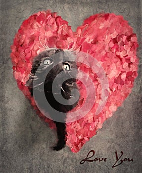 Grey cat on rose petals