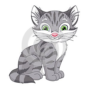 Grey cat sitting cartoon vector illustration