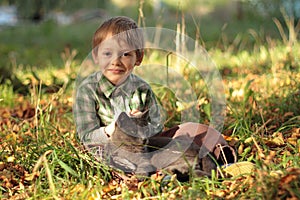 Grey Cat and smiling Boy sitting on the grass. Kid playing with cat.