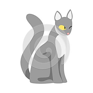 Grey Cat with Smooth Coat as Furry Domestic Pet Vector Illustration